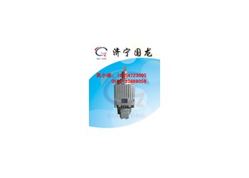 ED50/6,ED80/6電力液壓推動器，生產廠家