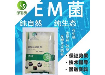 發(fā)酵儲(chǔ)存青飼料還需要加鹽嗎