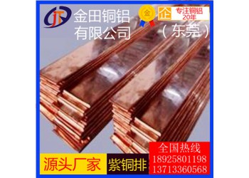 高品質(zhì)t2紫銅排，t4大規(guī)格紫銅排-t6耐腐蝕紫銅排