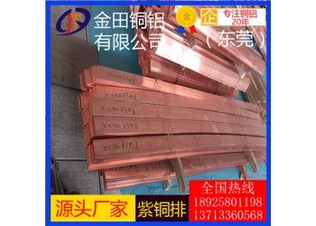 長期供應(yīng)t6紫銅排-t1耐高溫紫銅排，t2超薄紫銅排