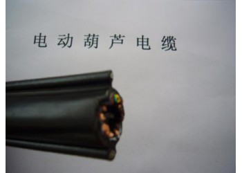 供應(yīng)（維爾特）YR，YRP，YRF電動(dòng)葫蘆電纜