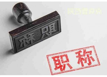 工程師職稱評(píng)審關(guān)于業(yè)績(jī)成果的方針指南