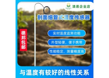 溫度傳感器細(xì)管溫度傳感器剖面細(xì)管式溫度傳感器