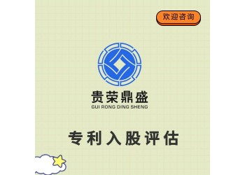 天津市知識產權評估專利入股評估技術軟著商標評估