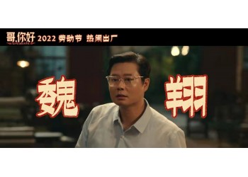 電影《哥，你好》現(xiàn)在還有份額嗎？多少起投？