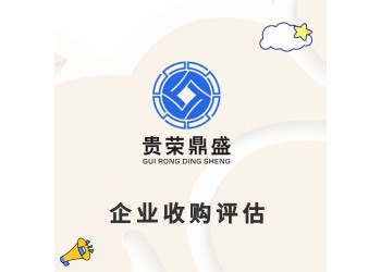 浙江省杭州市企業(yè)重組整合評估企業(yè)并購剝離評估員工持股評估