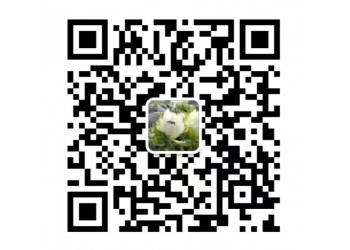 電影外太空的莫扎特投資價(jià)值如何?怎么投資?