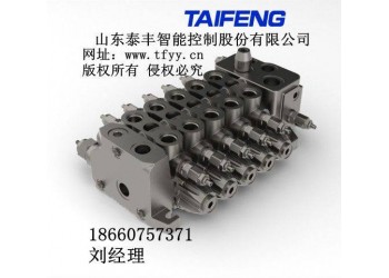 TRM20E多路閥，泰豐新型多路閥