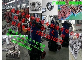南京中德大量供應(yīng)潛水排污泵葉輪、蝸殼、底座、機封、電纜等配件