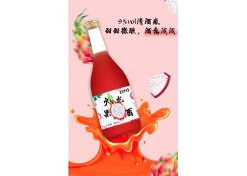 火龍果酒生產(chǎn)廠家代加工 各種果酒滋補(bǔ)酒批量加工 山東廠家