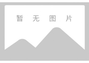 旋進(jìn)旋渦流量計 旋進(jìn)旋渦流量計