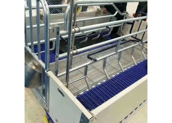 養豬場歐式母豬產床的組成尺寸使用及介紹