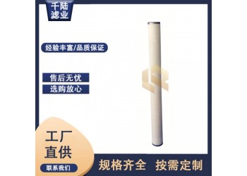 替代生產(chǎn)PECO-852FG36派瑞天然氣聚結(jié)濾芯