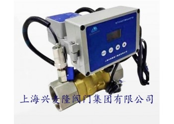 興麥隆一體式電動流量調(diào)節(jié)閥圖片