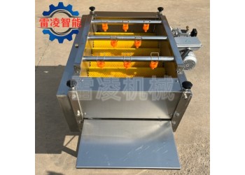 全自動粽葉清洗機(jī) 荷葉清洗設(shè)備 蘆葦葉清洗機(jī)