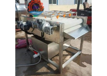 云南粽葉清洗機(jī)全自動(dòng)筍葉清洗機(jī)毛輥式洗葦葉機(jī)器