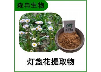 森冉生物 燈盞細(xì)辛提取物 燈盞花提取物 比例提取原料粉