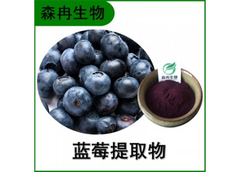 森冉生物 藍(lán)莓提取物 越橘提取物 藍(lán)莓粉